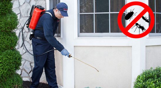 Safranbolu Hamam Böceği İlaçlama böcek ilaçlama ve haşere kontrolü — ilaclama-tr.com